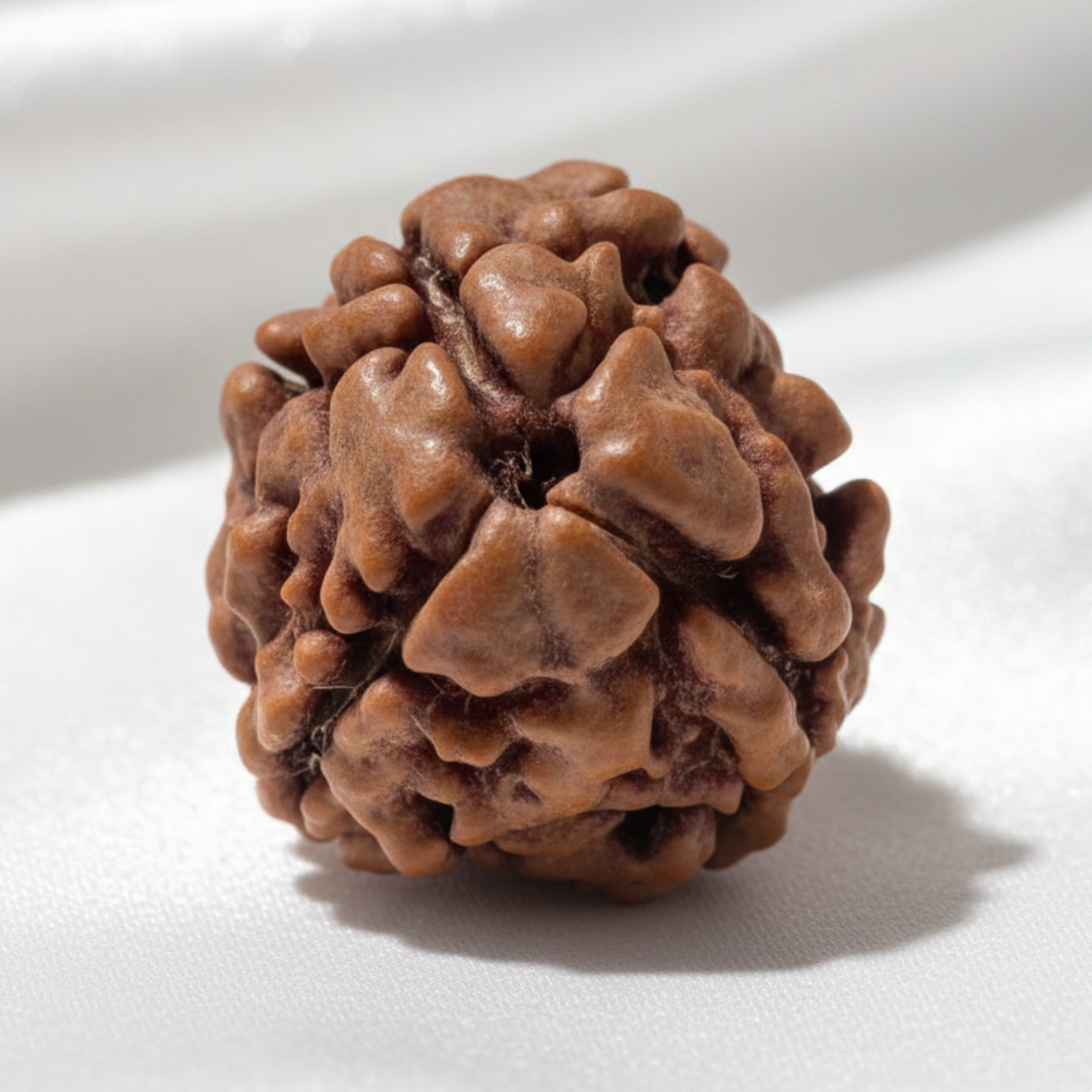 3 Mukhi Rudraksha Pendant — Sacred Fire Bead for Confidence and Inner Strength
