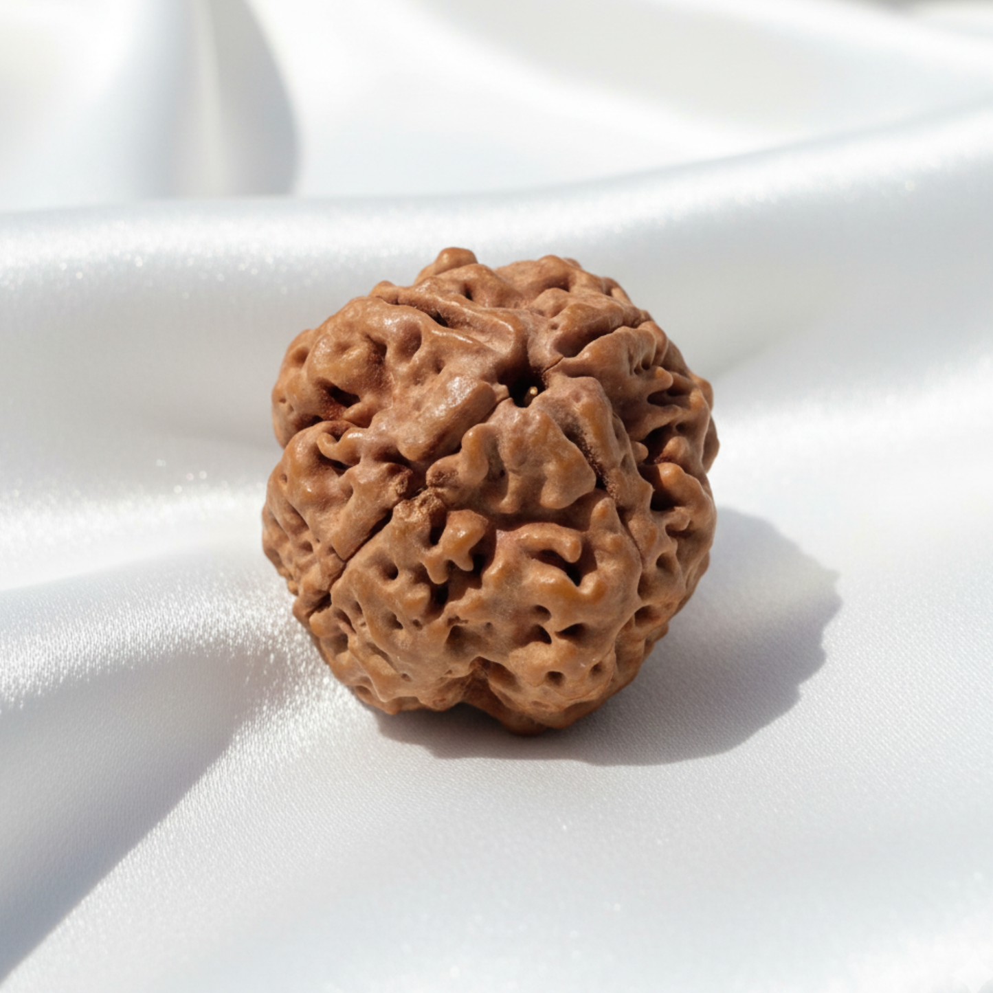 4 Mukhi Rudraksha Pendant — Sacred Wisdom Bead for Intellect, Creativity and Communication