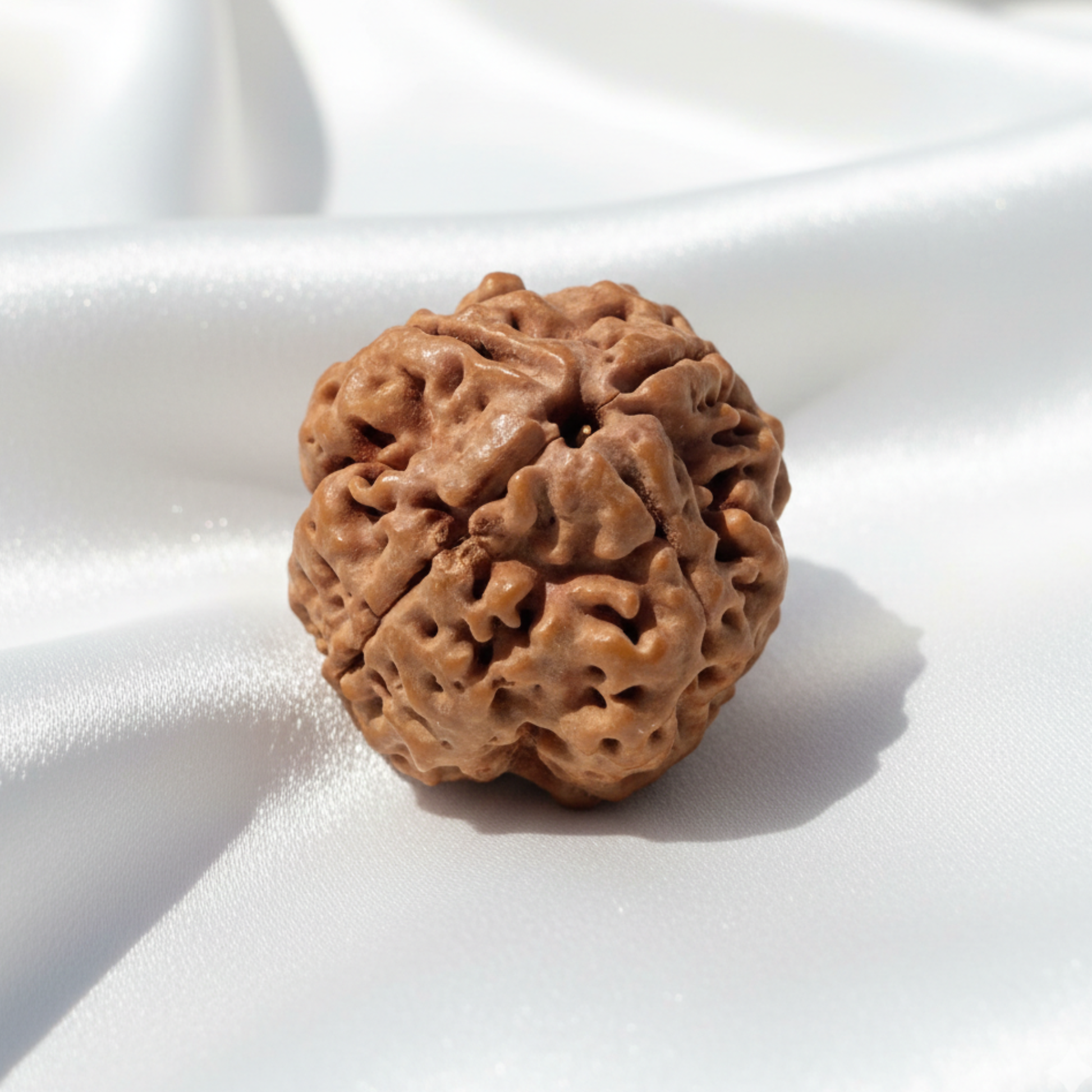 4 Mukhi Rudraksha Pendant — Sacred Wisdom Bead for Intellect, Creativity and Communication