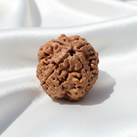 4 Mukhi Rudraksha Pendant — Sacred Wisdom Bead for Intellect, Creativity and Communication
