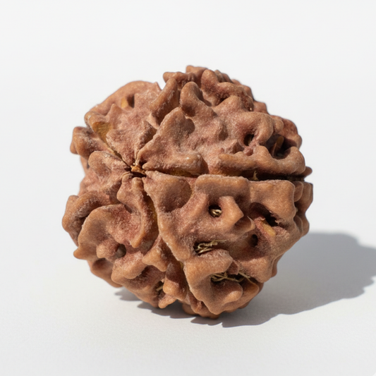 5 Mukhi Rudraksha Pendant — Sacred Peace Bead for Meditation, Calm and Daily Protection
