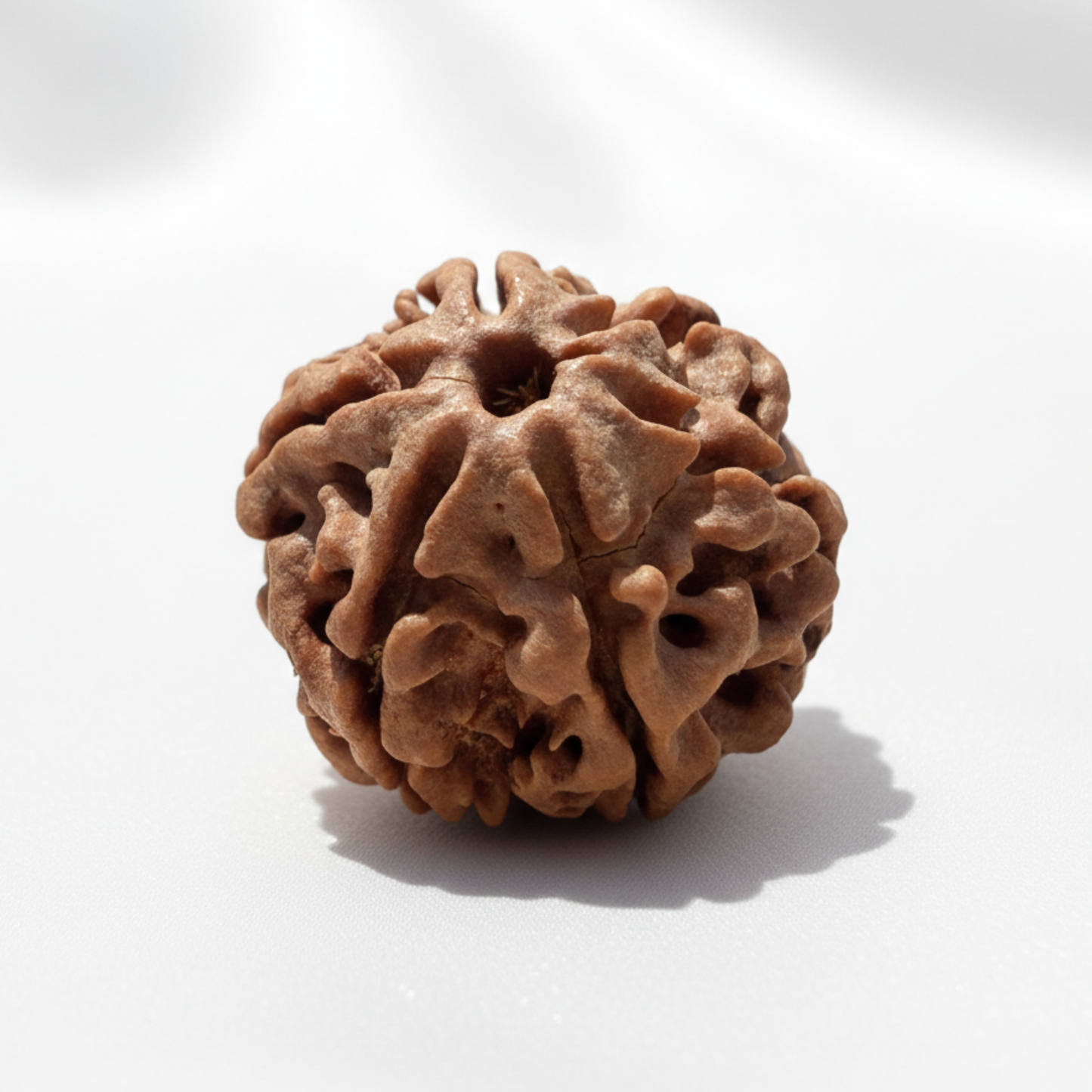 6 Mukhi Rudraksha Sacred Bead Pendant Necklace — Vedic Spiritual Jewellery UK Manushaa Gems